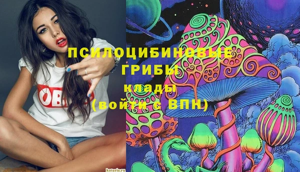 спайс Горняк