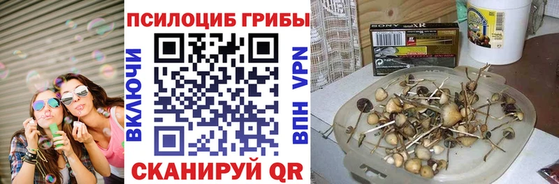Псилоцибиновые грибы прущие грибы  наркошоп  Куровское 